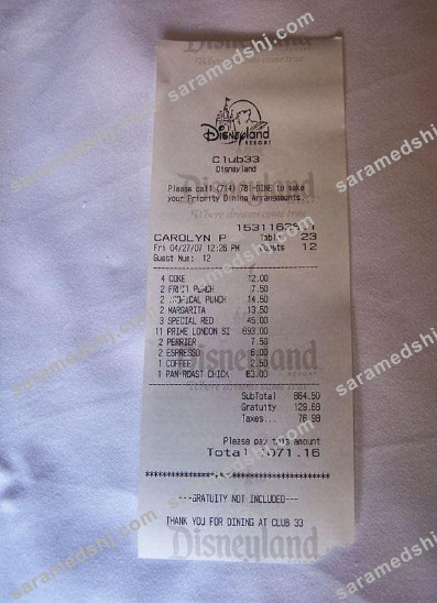 Disneyland payment receipt